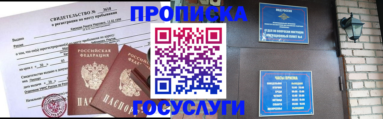 временная регистрация поиск в Долгопрудном